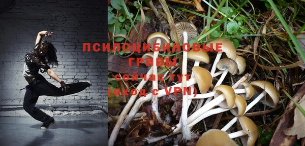 кокс Армянск