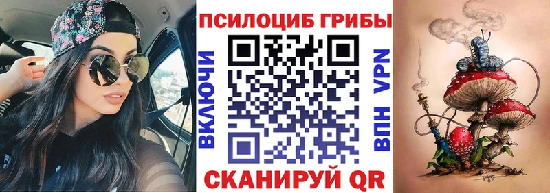 Галлюциногенные грибы Cubensis  Купить закладки  Гагарин 